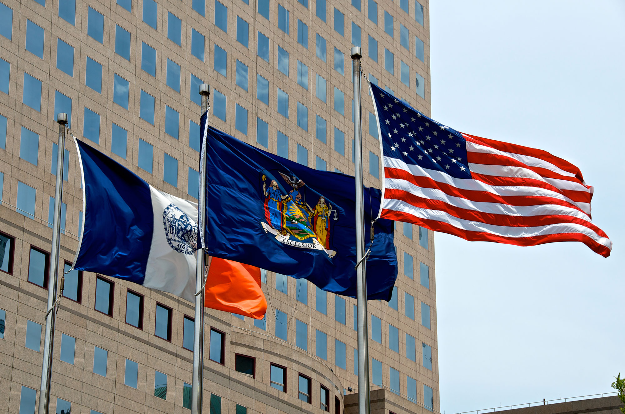 New York State Government, Regulatory Policy and Government Contracts